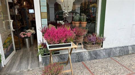 Floristerías en Cádiz con envío a domicilio .